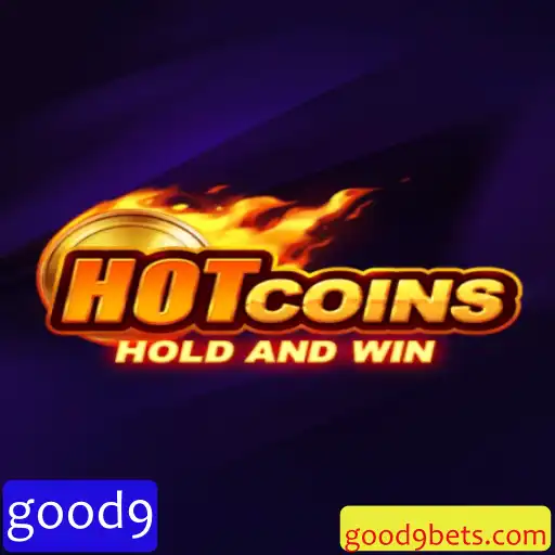 HotCoins: Descubra a nova febre dos jogos financeiros