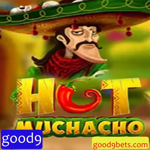Explorando o Mundo de HotMuchacho: Regras e Estratégias
